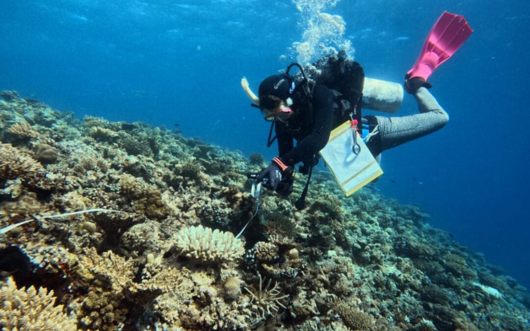 8 Years of Coral Reef Monitoring in the Maldives: 2024 Expedition Wrap-Up